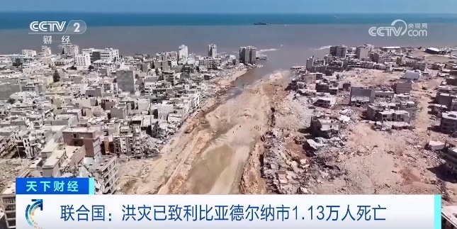 365白菜大全